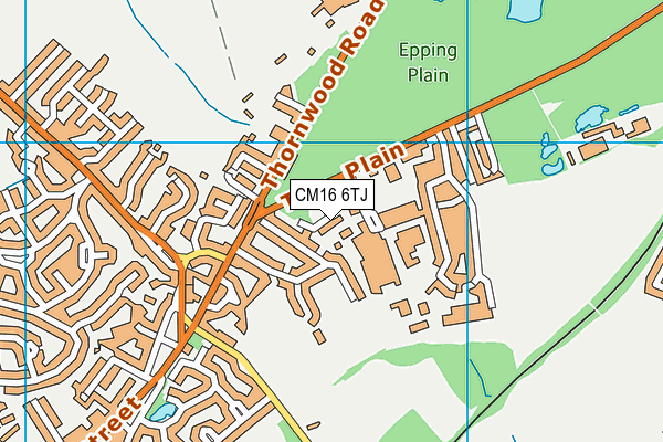 CM16 6TJ map - OS VectorMap District (Ordnance Survey)