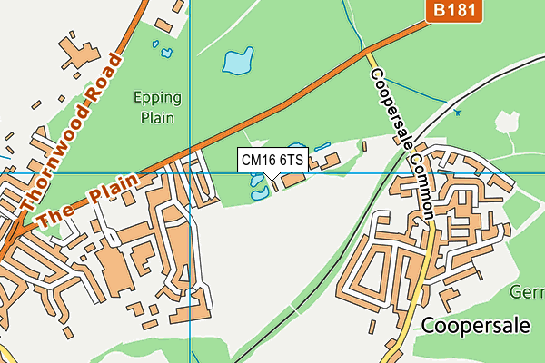 CM16 6TS map - OS VectorMap District (Ordnance Survey)