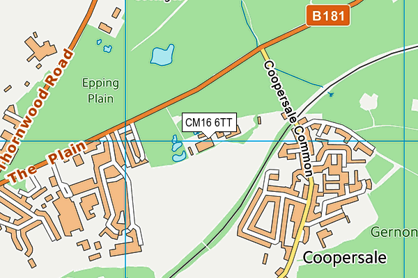 CM16 6TT map - OS VectorMap District (Ordnance Survey)