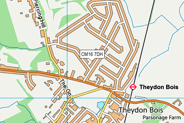 Theydon Bois Primary School map (CM16 7DH) - OS VectorMap District (Ordnance Survey)