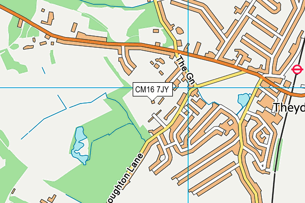 Buxton Trust Playing Field map (CM16 7JY) - OS VectorMap District (Ordnance Survey)