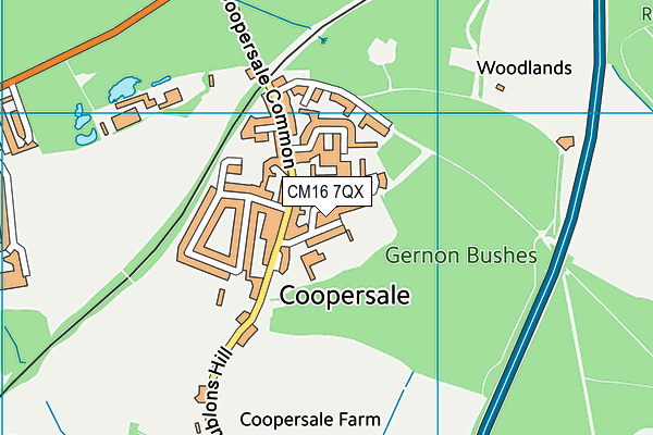 Coopersale Cricket Club map (CM16 7QX) - OS VectorMap District (Ordnance Survey)