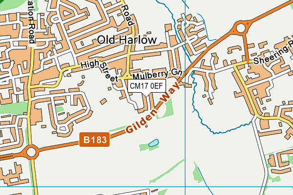 CM17 0EF map - OS VectorMap District (Ordnance Survey)