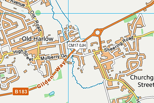 CM17 0JH map - OS VectorMap District (Ordnance Survey)