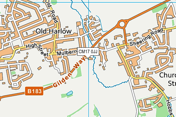 CM17 0JJ map - OS VectorMap District (Ordnance Survey)