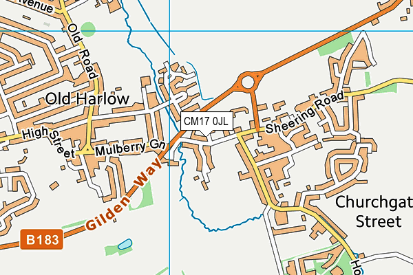 CM17 0JL map - OS VectorMap District (Ordnance Survey)