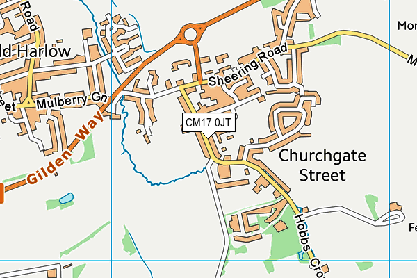 Churchgate Leisure Club (Closed) map (CM17 0JT) - OS VectorMap District (Ordnance Survey)