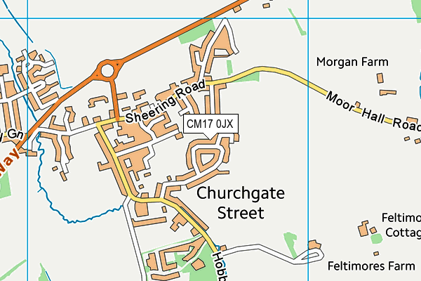 CM17 0JX map - OS VectorMap District (Ordnance Survey)