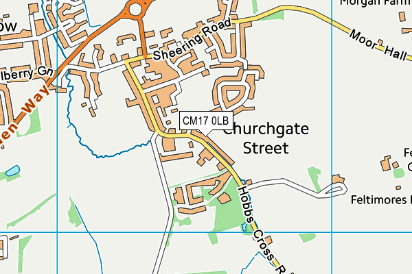 Churchgate Church of England Voluntary Aided Primary School, Harlow map (CM17 0LB) - OS VectorMap District (Ordnance Survey)