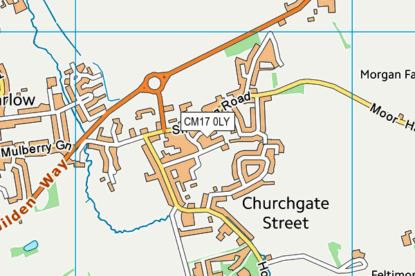 CM17 0LY map - OS VectorMap District (Ordnance Survey)
