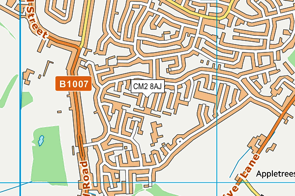 CM2 8AJ map - OS VectorMap District (Ordnance Survey)