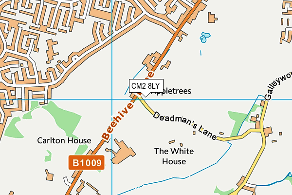 CM2 8LY map - OS VectorMap District (Ordnance Survey)