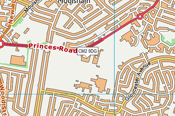 Moulsham Junior School map (CM2 9DG) - OS VectorMap District (Ordnance Survey)