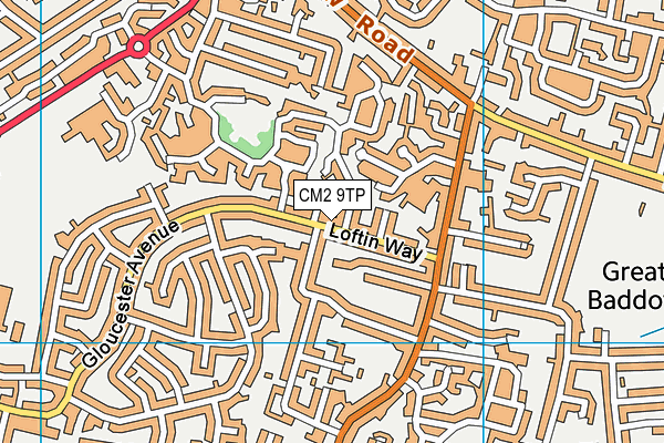 CM2 9TP map - OS VectorMap District (Ordnance Survey)