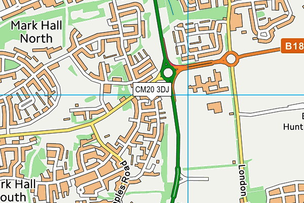 CM20 3DJ map - OS VectorMap District (Ordnance Survey)