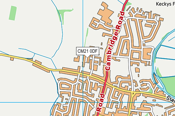 CM21 0DF map - OS VectorMap District (Ordnance Survey)