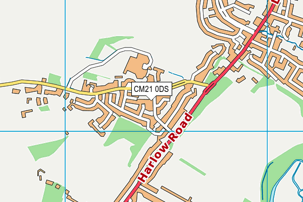 CM21 0DS map - OS VectorMap District (Ordnance Survey)