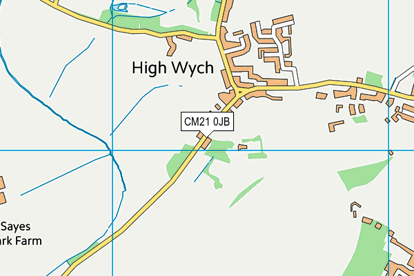 High Wych Ce Primary School map (CM21 0JB) - OS VectorMap District (Ordnance Survey)
