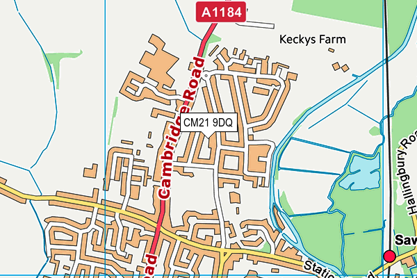 CM21 9DQ map - OS VectorMap District (Ordnance Survey)