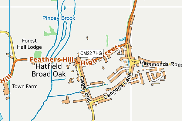 High Street Recreation Ground map (CM22 7HG) - OS VectorMap District (Ordnance Survey)