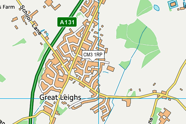 Great Leighs Primary School map (CM3 1RP) - OS VectorMap District (Ordnance Survey)