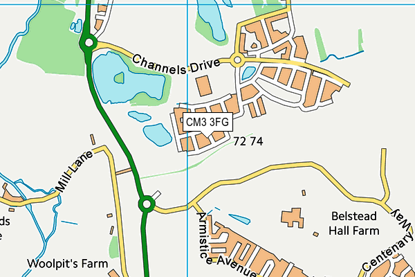 CM3 3FG map - OS VectorMap District (Ordnance Survey)