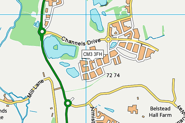 CM3 3FH map - OS VectorMap District (Ordnance Survey)