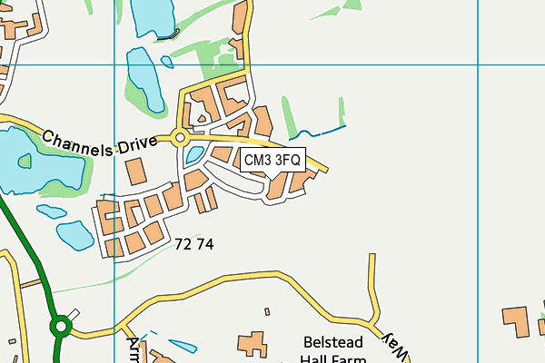 CM3 3FQ map - OS VectorMap District (Ordnance Survey)