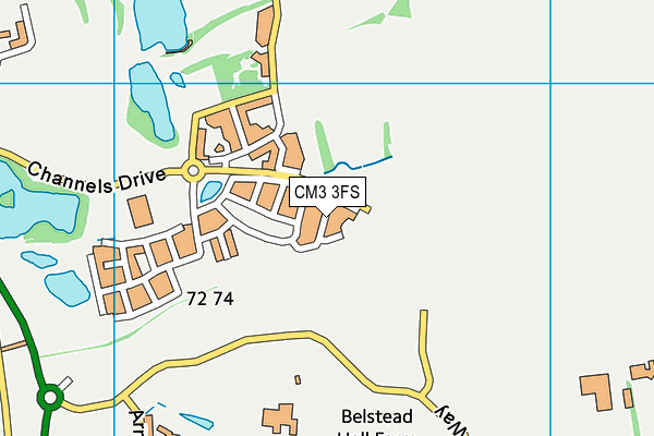 CM3 3FS map - OS VectorMap District (Ordnance Survey)