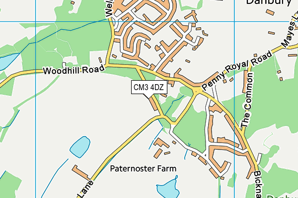 CM3 4DZ map - OS VectorMap District (Ordnance Survey)