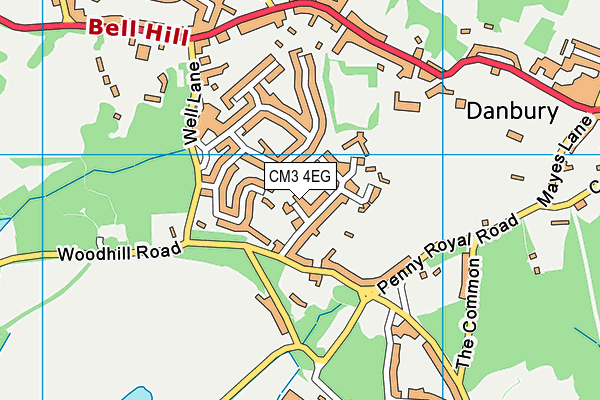 CM3 4EG map - OS VectorMap District (Ordnance Survey)