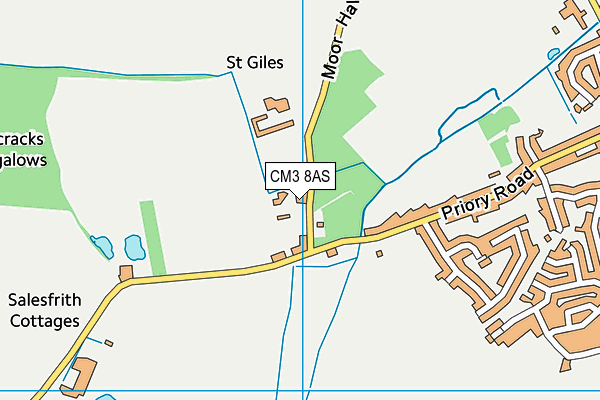 CM3 8AS map - OS VectorMap District (Ordnance Survey)