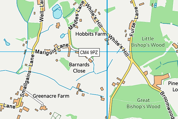 CM4 9PZ map - OS VectorMap District (Ordnance Survey)