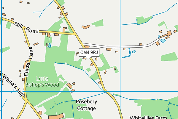 CM4 9RJ map - OS VectorMap District (Ordnance Survey)