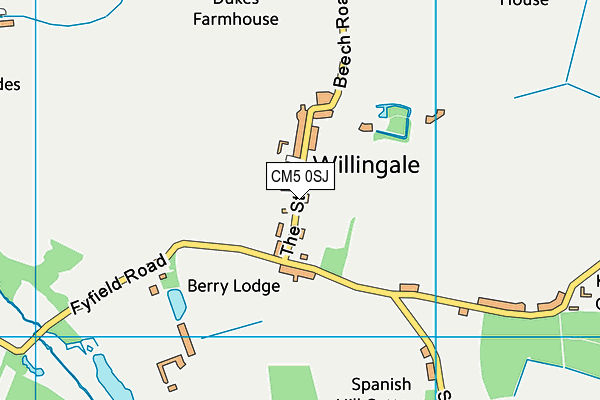 Willingale Cricket Club map (CM5 0SJ) - OS VectorMap District (Ordnance Survey)