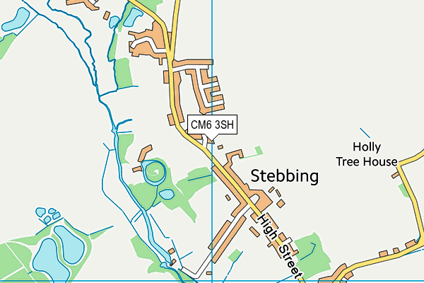 Stebbing Primary School map (CM6 3SH) - OS VectorMap District (Ordnance Survey)