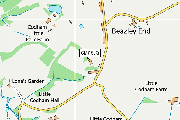 Codham Little Park Farm (Closed) map (CM7 5JQ) - OS VectorMap District (Ordnance Survey)