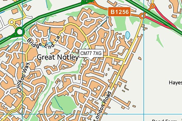 CM77 7XG map - OS VectorMap District (Ordnance Survey)