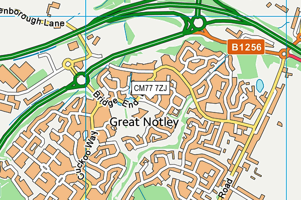 Notley Green Primary School map (CM77 7ZJ) - OS VectorMap District (Ordnance Survey)