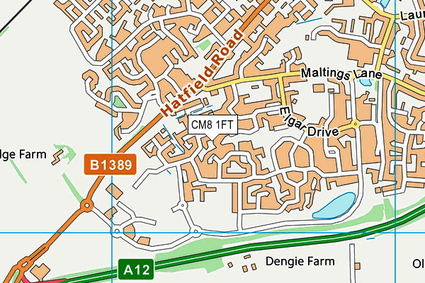 CM8 1FT map - OS VectorMap District (Ordnance Survey)