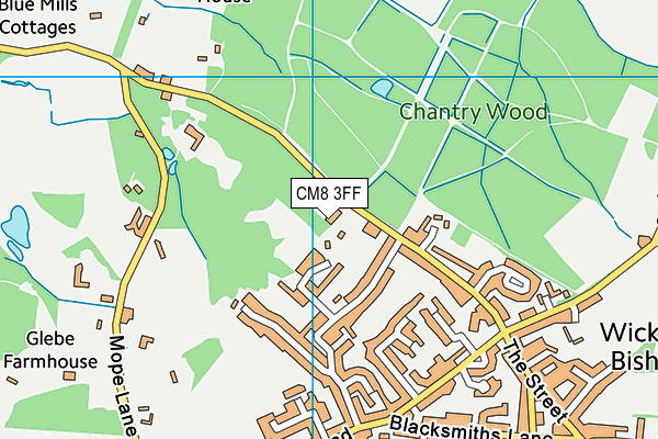 CM8 3FF map - OS VectorMap District (Ordnance Survey)