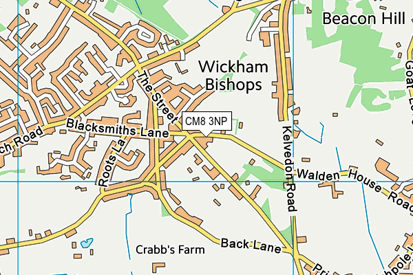Wickham Bishops Playing Field map (CM8 3NP) - OS VectorMap District (Ordnance Survey)