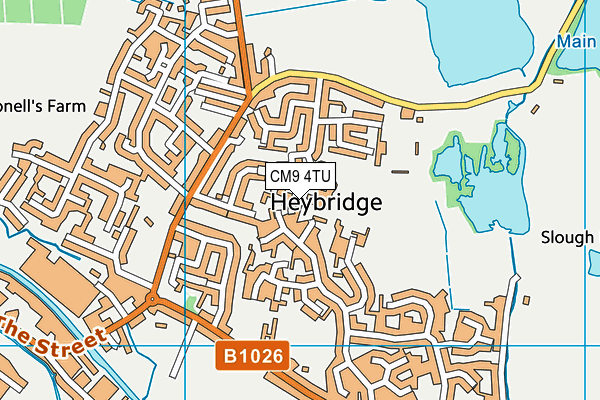 Heybridge Primary School map (CM9 4TU) - OS VectorMap District (Ordnance Survey)