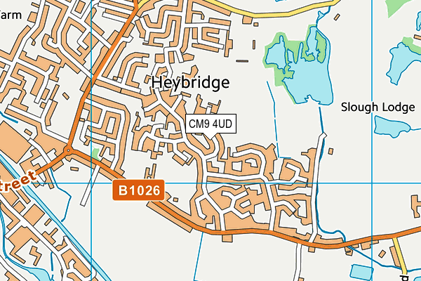 CM9 4UD map - OS VectorMap District (Ordnance Survey)