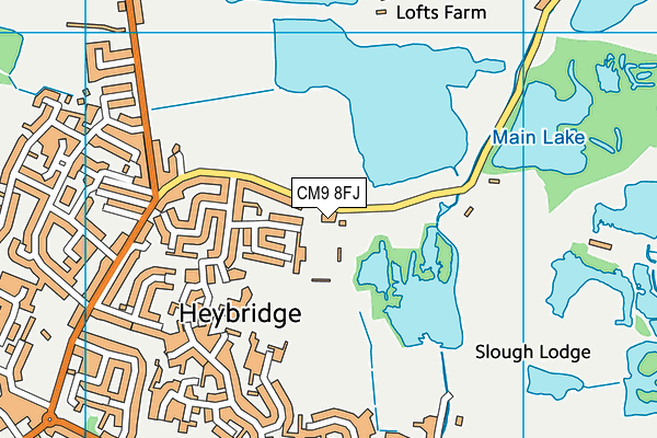 CM9 8FJ map - OS VectorMap District (Ordnance Survey)