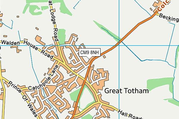 Great Totham Cricket Club map (CM9 8NH) - OS VectorMap District (Ordnance Survey)
