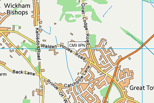 Great Totham Primary School map (CM9 8PN) - OS VectorMap District (Ordnance Survey)