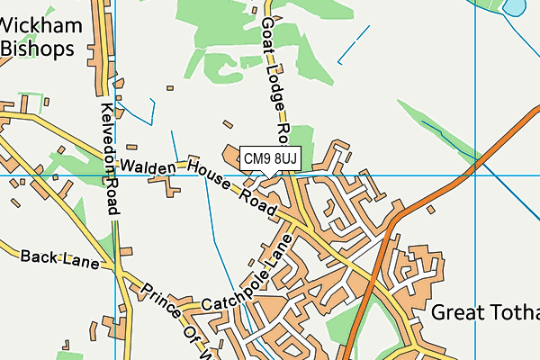 CM9 8UJ map - OS VectorMap District (Ordnance Survey)