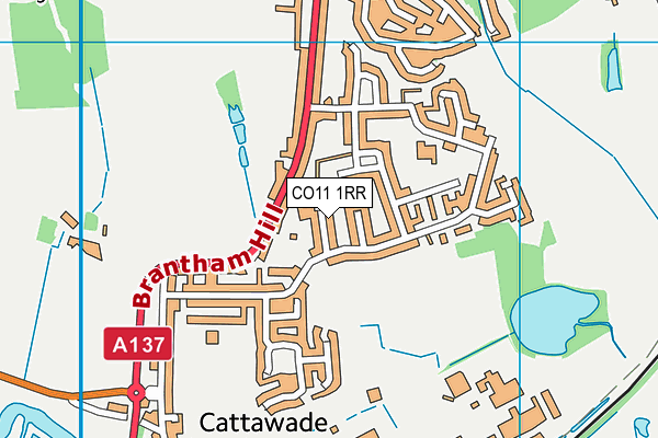 CO11 1RR map - OS VectorMap District (Ordnance Survey)