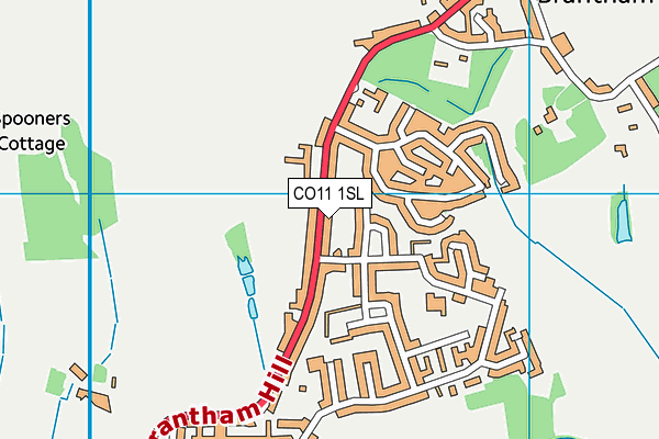 CO11 1SL map - OS VectorMap District (Ordnance Survey)